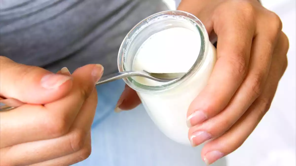 Jogurt jako elixír života: tisícileté tajemství kavkazských národů
