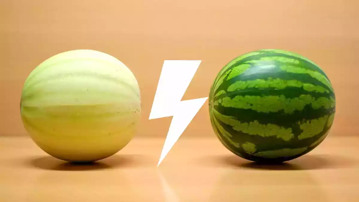 Meloun vs. vodní meloun: co hydratuje lépe?