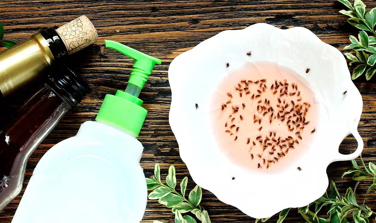 Obtěžující komáři? Tady je super jednoduchý domácí léček s pouze třemi ingrediencemi