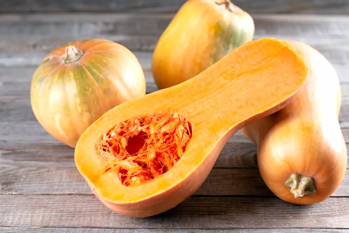 Jak uvařit dýni hokkaido? 4 způsoby vaření a 4 nezničitelné recepty!