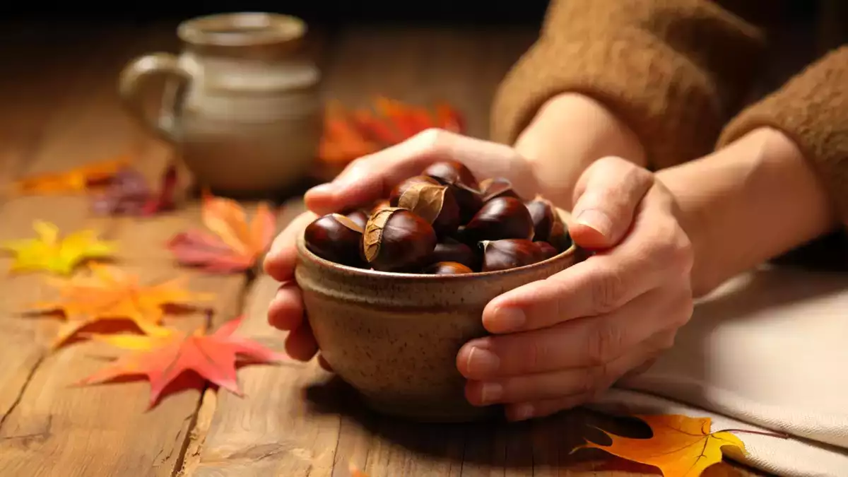 Jsou kaštany tučné? Co skutečně říkají odborníci na výživu