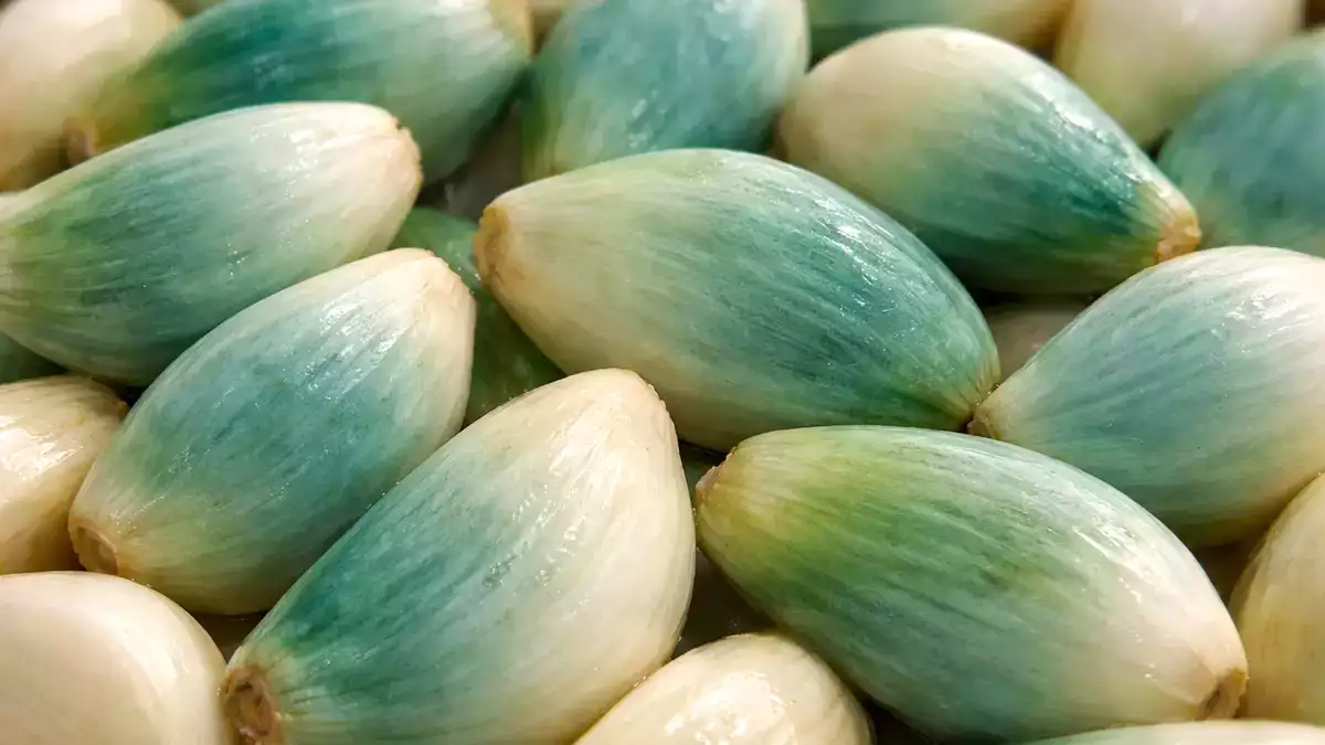 Zelený nebo modrý česnek ve vaší kuchyni? Mnoho lidí ho vyhazuje, aniž by si uvědomili, co to vlastně znamená.