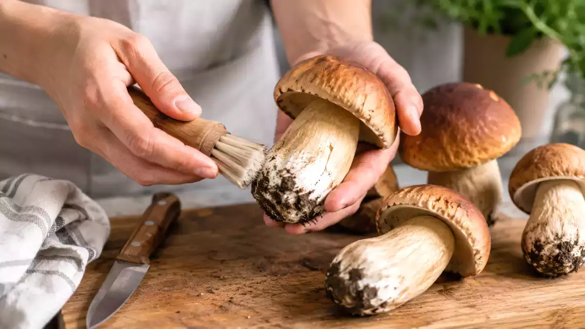 Právě jste očistili čerstvé hříbky? Jednoduchý krok, kterému se před vařením rozhodně vyhněte