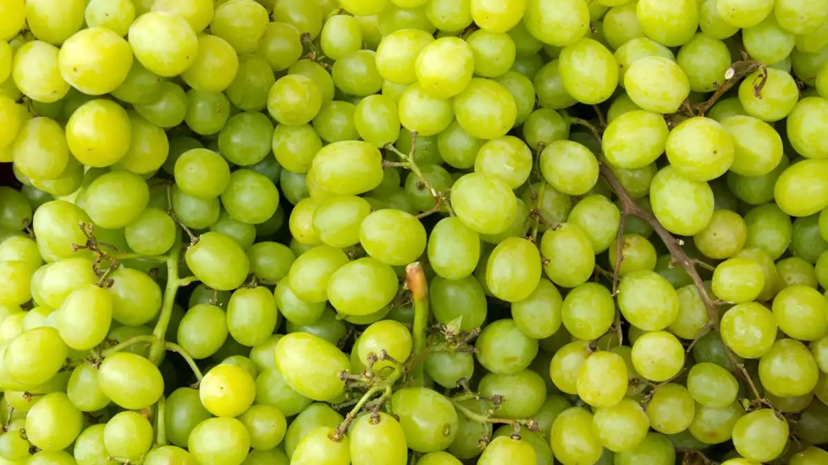 Hrozny po pár dnech měknou: tyto 4 kroky výrazně prodlouží jejich trvanlivost...