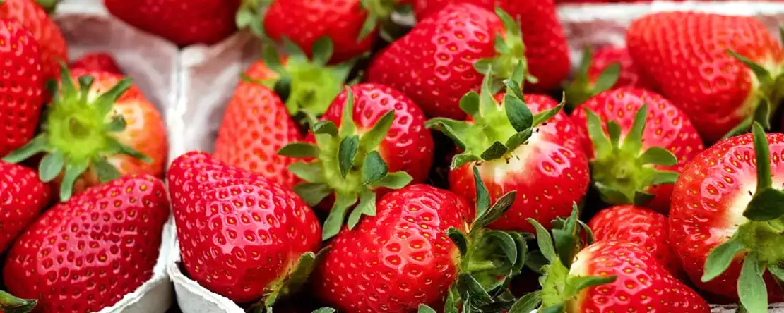 Jahody tak můžete uchovávat déle!