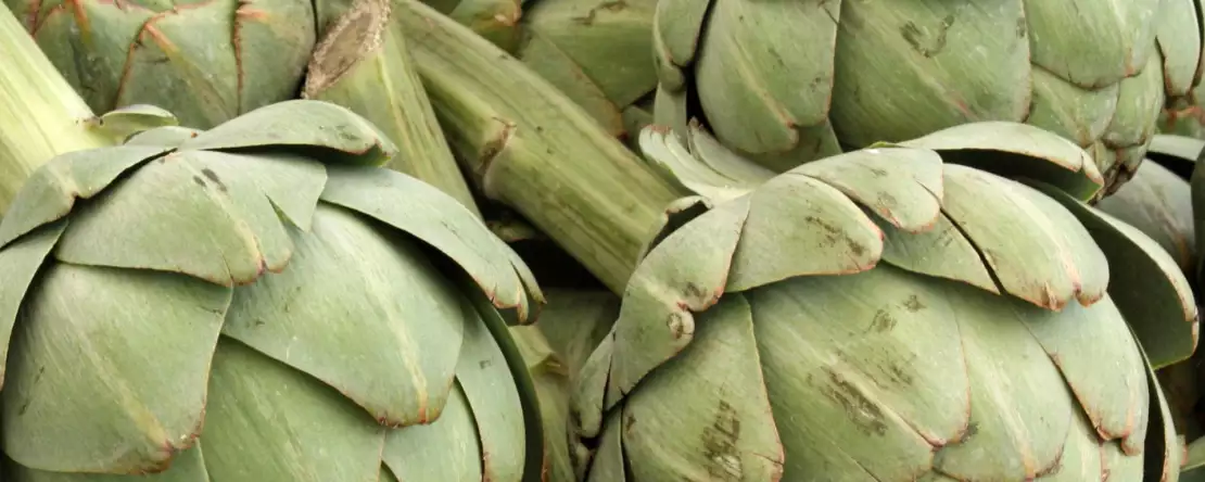 Jak rychle a bezpečně připravit artyčoky v mikrovlnné troubě