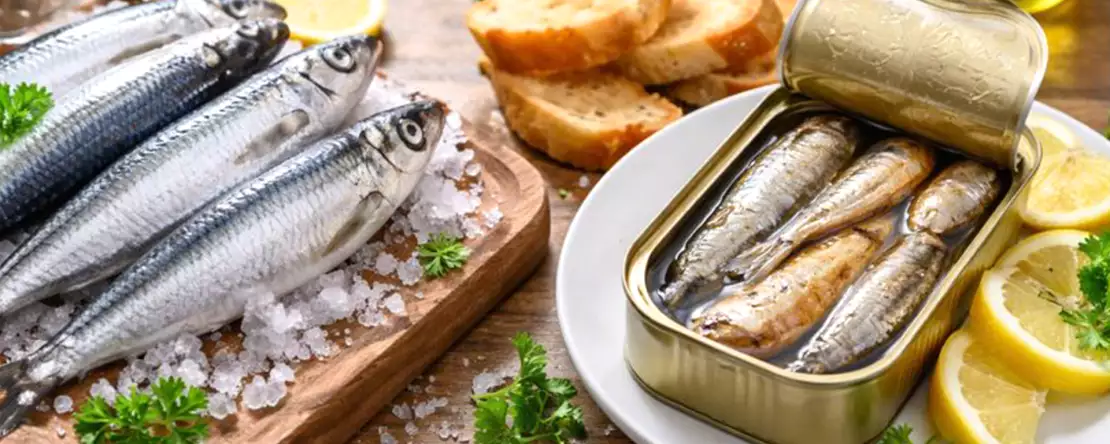 Čerstvé a konzervované sardinky: vše, co potřebujete vědět, než se rozhodnete, co půjde na váš stůl