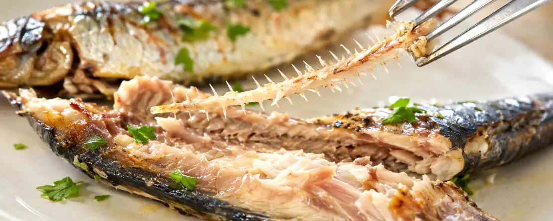 Vyhazujete tu nejvýživnější část sardinky, aniž byste tušili, o co přicházíte