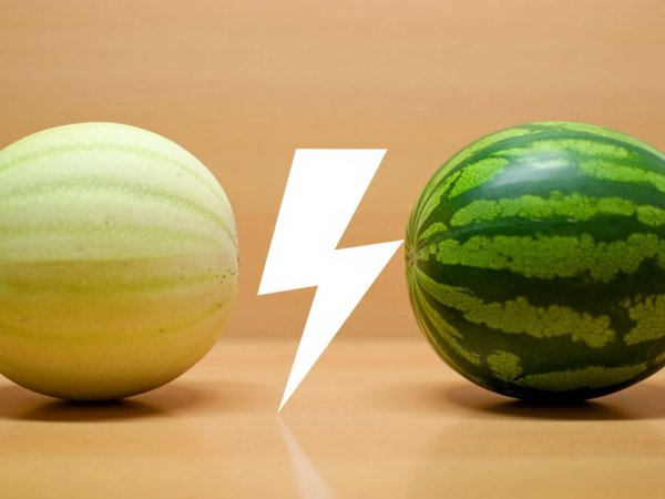 Meloun vs. vodní meloun: co hydratuje lépe?