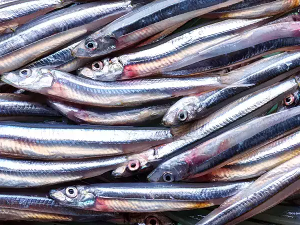 Po padesáti letech předstihla tato konzervovaná rybka tuňáka a sardinky v prospěšnosti pro zdraví