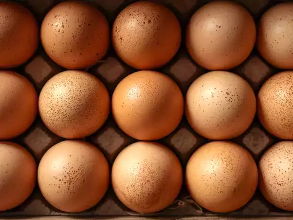 Bílkoviny, cholesterol, energie... co se stane, když budete jíst vejce každý den?