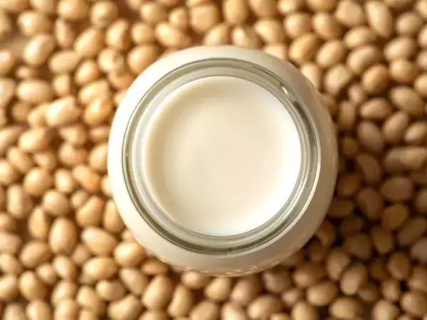 Které rostlinné mléko je nejzdravější? Pojďme to zjistit!