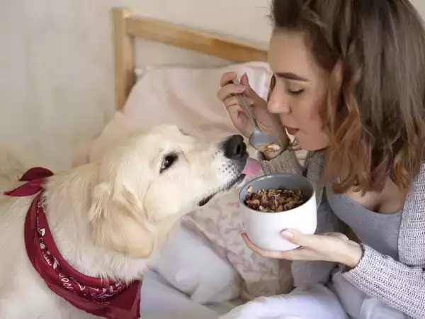 8 potravin, které byste svému psovi rozhodně neměli dávat!