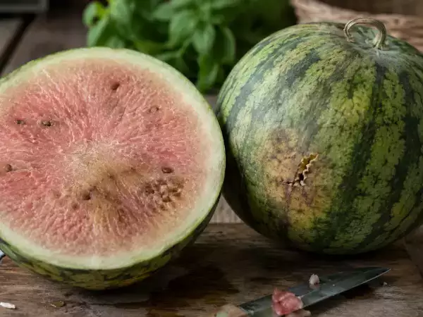 Jak poznat, že meloun není dobrý? Naše nejlepší tipy!