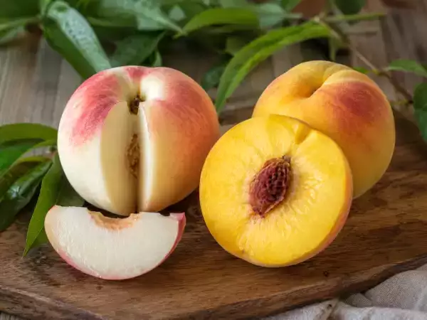 Bílý nebo žlutý rybí filé: který z nich zvolit podle receptu?
