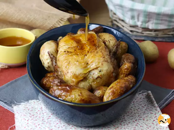 Kdo má doma kuře a horkovzdušnou fritézu, měl by vyzkoušet těchto 7 lahodných způsobů, jak ho připravit