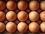 Články: Bílkoviny, cholesterol, energie... co se stane, když budete jíst vejce každý den?