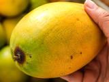Články: Téměř každý si na trhu vybere mango špatně a svou chybu si uvědomí až doma