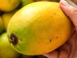 Články: Téměř každý si na trhu vybere mango špatně a svou chybu si uvědomí až doma