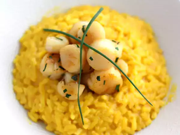 Recept Rizoto z hřebenatek se šafránem