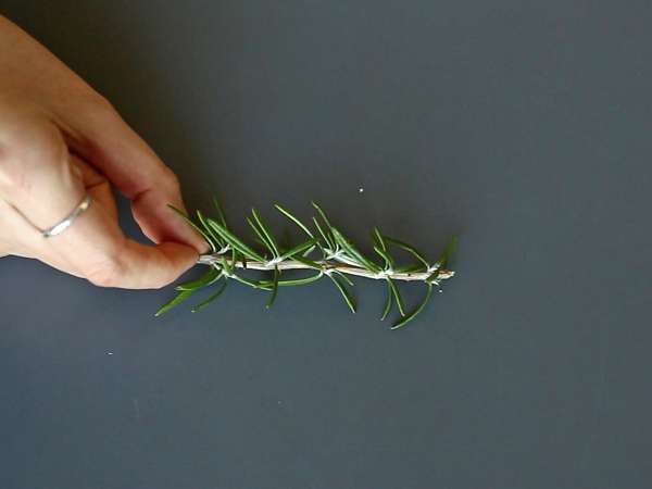 Koktejl se zasněženou jedlí uvnitř - Příprava krok 1