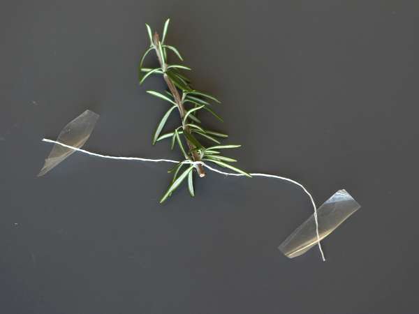 Koktejl se zasněženou jedlí uvnitř - Příprava krok 3