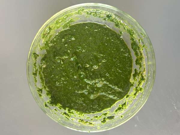 Palak tofu: indické kari se špenátem a tofu - Příprava krok 5