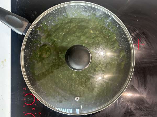 Palak tofu: indické kari se špenátem a tofu - Příprava krok 9