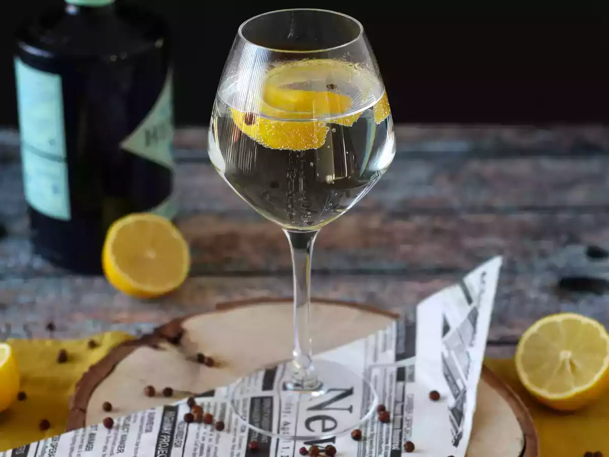 Gin Tonic, nezbytný aperitivní koktejl! - foto 3