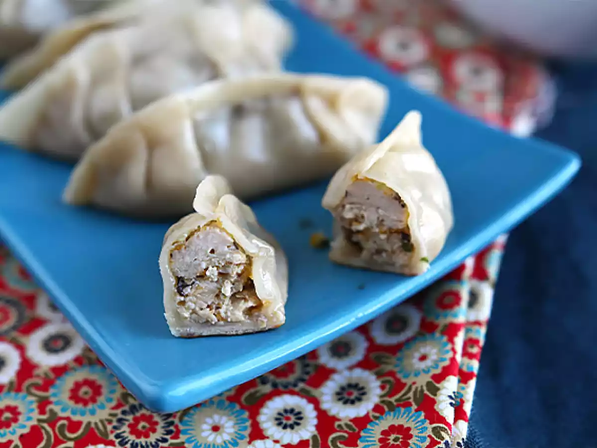 Gyozas s kuřecím masem, mrkví a houbami - foto 5