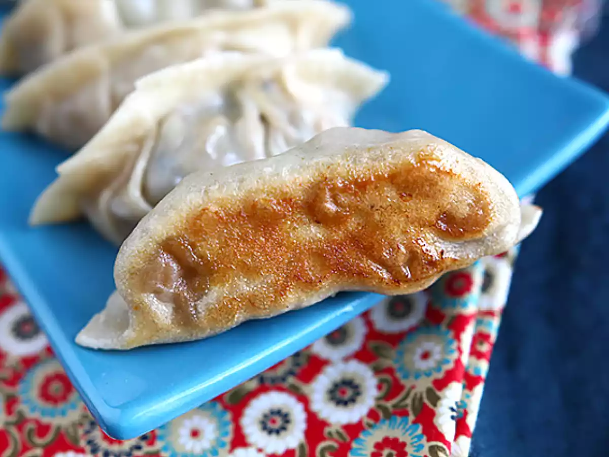 Gyozas s kuřecím masem, mrkví a houbami - foto 8
