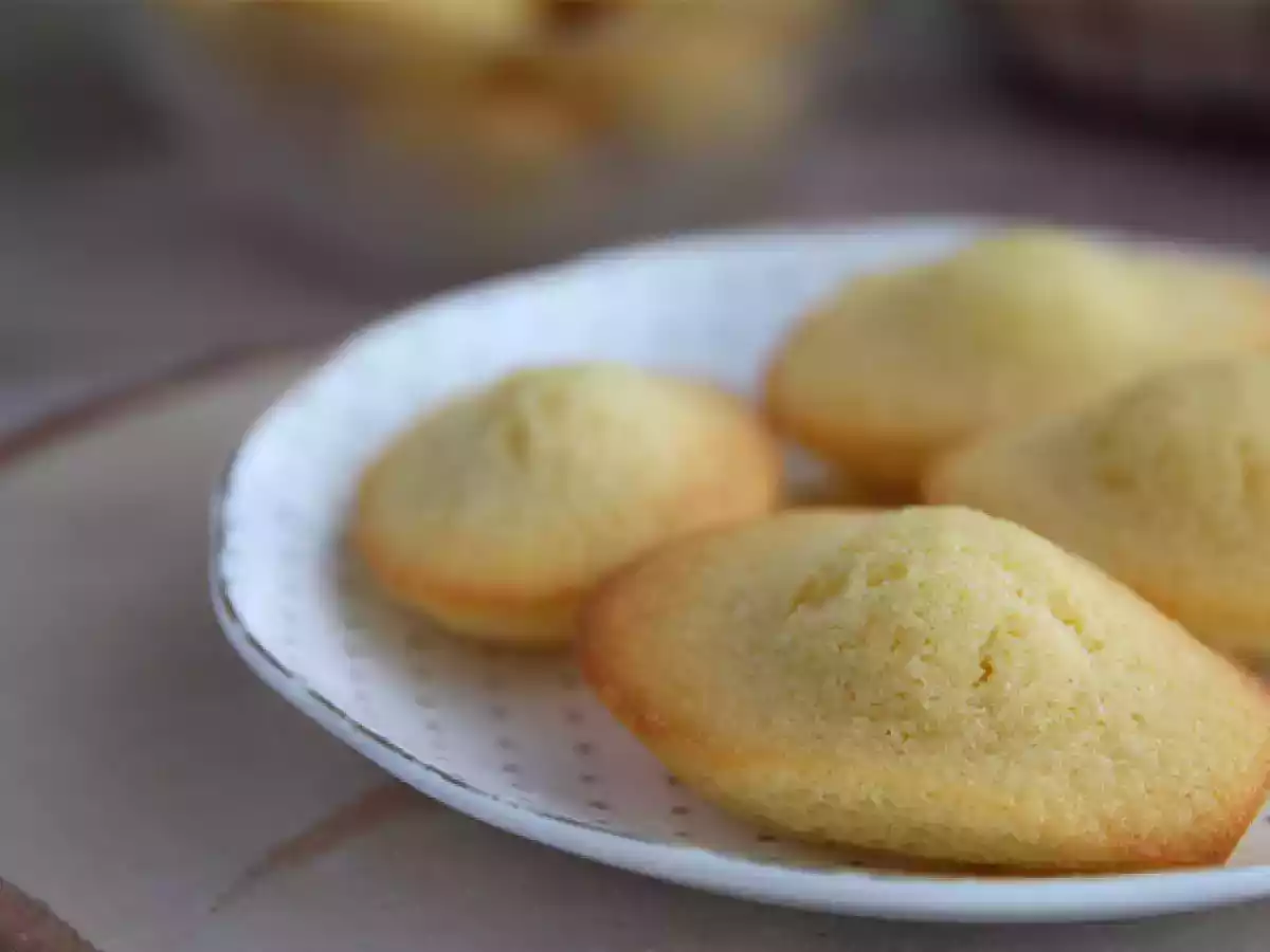 Obyčejné madeleines - foto 4