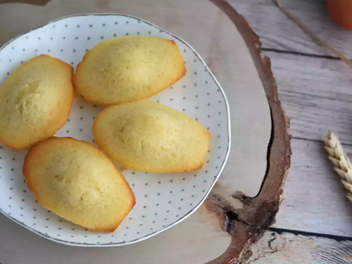 Obyčejné madeleines - foto 6